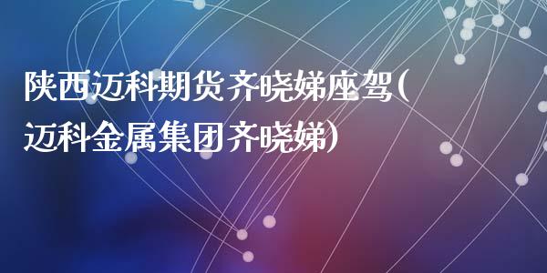陕西迈科期货齐晓娣座驾(迈科金属集团齐晓娣)