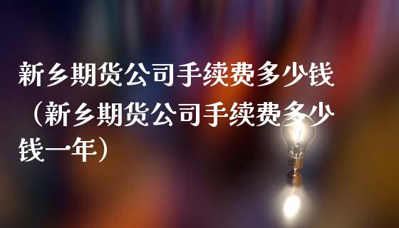 新乡期货公司手续费多少钱（新乡期货公司手续费多少钱一年）