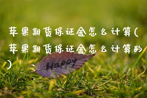 苹果期货保证金怎么计算(苹果期货保证金怎么计算的)