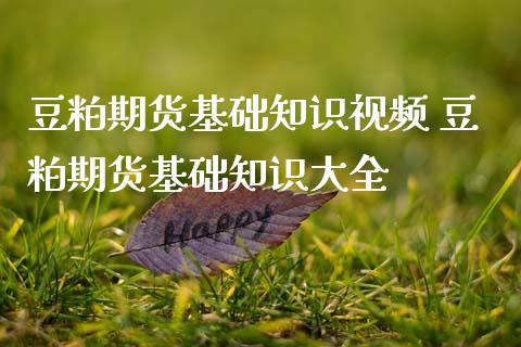 豆粕期货基础知识视频 豆粕期货基础知识大全_https://www.dglong8.com_内盘期货_第1张