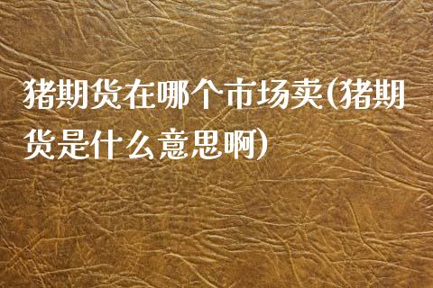 猪期货在哪个市场卖(猪期货是什么意思啊)