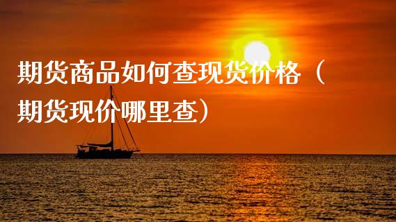 期货商品如何查现货价格（期货现价哪里查）