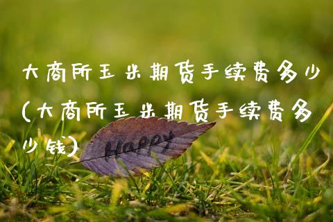 大商所玉米期货手续费多少(大商所玉米期货手续费多少钱)