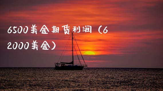6500美金期货利润（62000美金）
