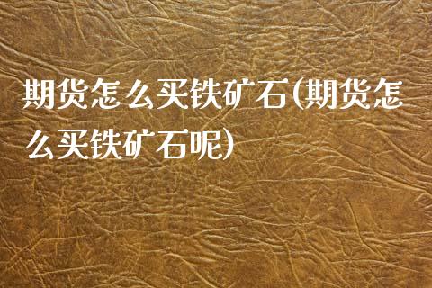 期货怎么买铁矿石(期货怎么买铁矿石呢)
