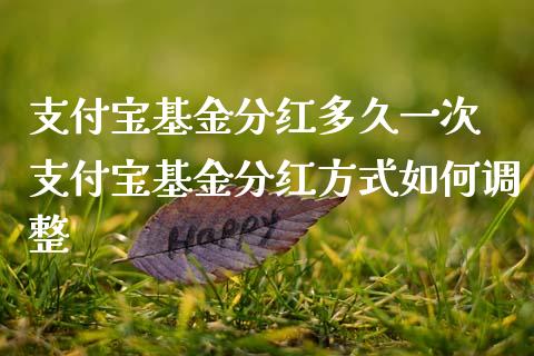 支付宝基金分红多久一次 支付宝基金分红方式如何调整