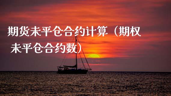 期货未平仓合约计算（期权 未平仓合约数）