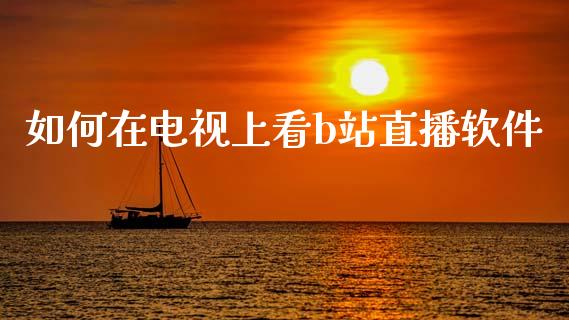 如何在电视上看b站直播软件_期货理财_第1张_宇龙理财网 如何在电视上看b站直播软件_https://www.dglong8.com_期货理财_第1张