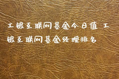 工银互联网基金今日值 工银互联网基金经理排名