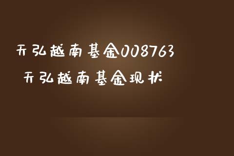 天弘越南基金008763 天弘越南基金现状