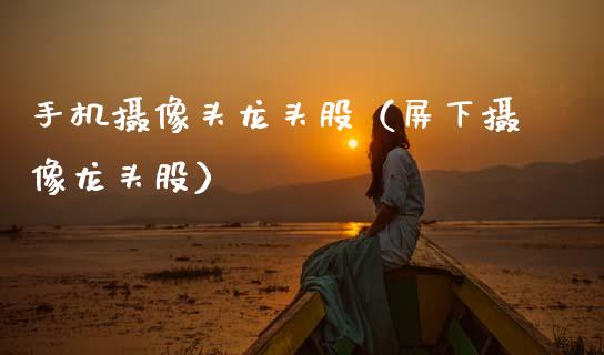 手机头龙头股（屏下龙头股）