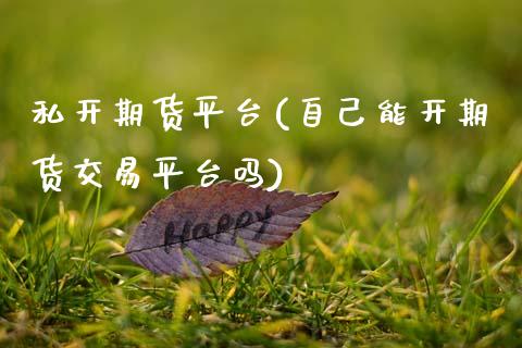 私开期货平台(自己能开期货交易平台吗)