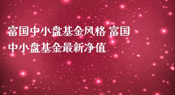 富国中小盘基金风格 富国中小盘基金最新净值