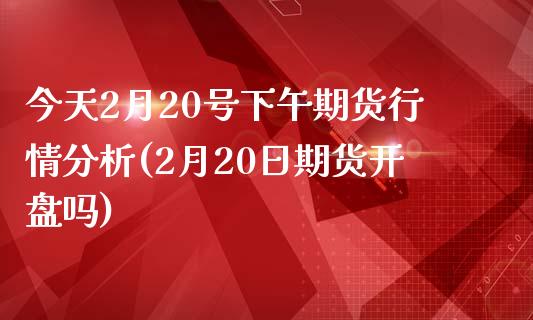 今天2月20号下午期货行情分析(2月20日期货开盘吗)