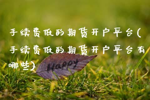 手续费低的期货开户平台(手续费低的期货开户平台有哪些)