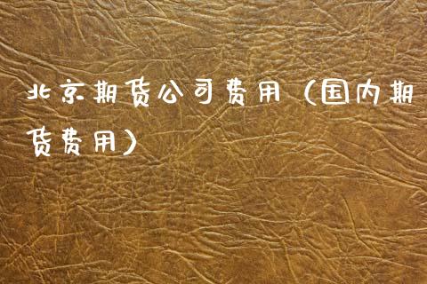 期货公司费用（国内期货费用）