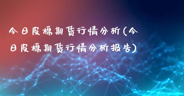 今日皮棉期货行情分析(今日皮棉期货行情分析报告)