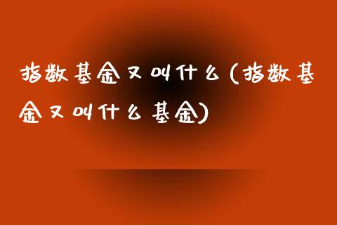 指数基金又叫什么(指数基金又叫什么基金)