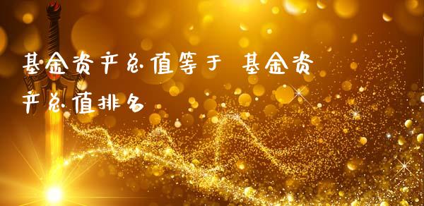 基金资产总值等于 基金资产总值排名