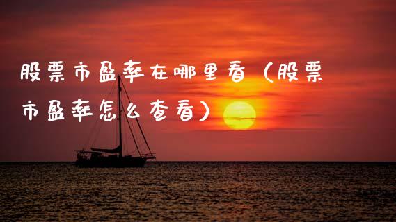 股票市盈率在哪里看（股票市盈率怎么查看）