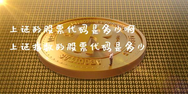 上证的股票代码是多少啊 上证指数的股票代码是多少