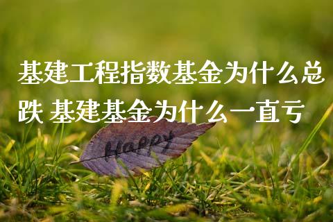 基建工程指数基金为什么总跌 基建基金为什么一直亏