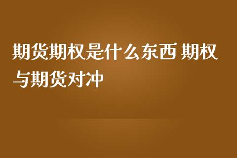 期货期权是什么东西 期权与期货对冲