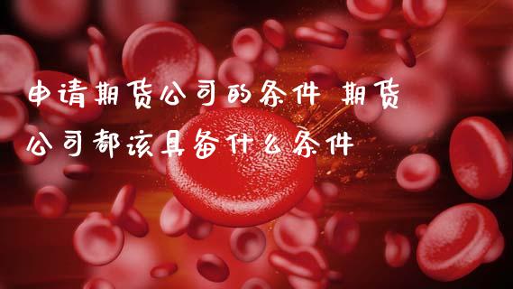 申请期货公司的条件 期货公司都该具备什么条件