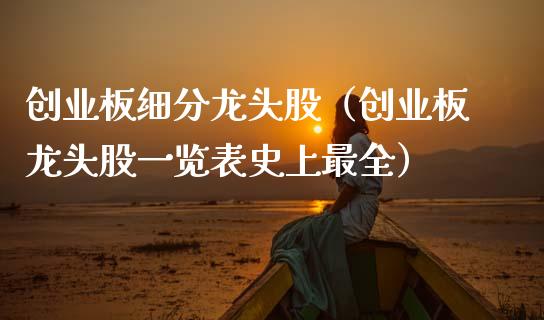 创业板细分龙头股（创业板龙头股一览表史上最全）