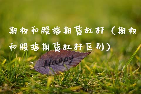 期权和股指期货杠杆（期权和股指期货杠杆区别）