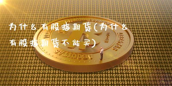 为什么有股指期货(为什么有股指期货不能买)