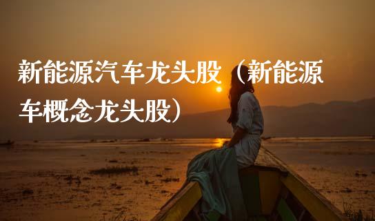 新能源汽车龙头股（新能源车概念龙头股）