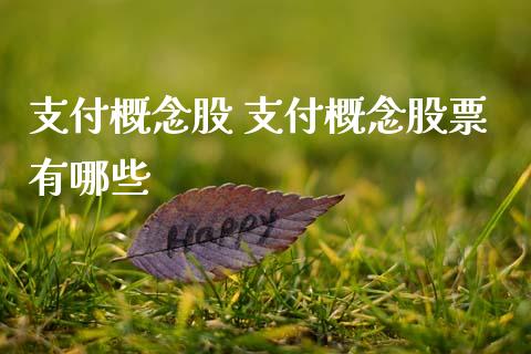 支付概念股 支付概念股票有哪些