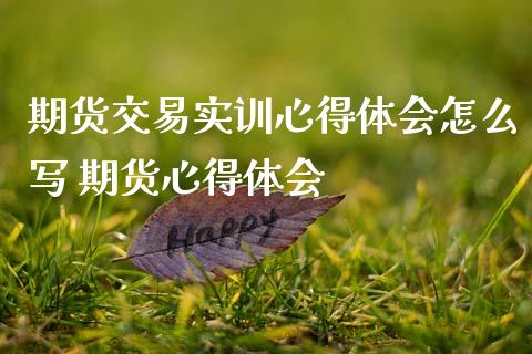期货交易实训心得体会怎么写 期货心得体会_期货理财_第1张_宇龙理财网 期货交易实训心得体会怎么写 期货心得体会_https://www.dglong8.com_期货理财_第1张