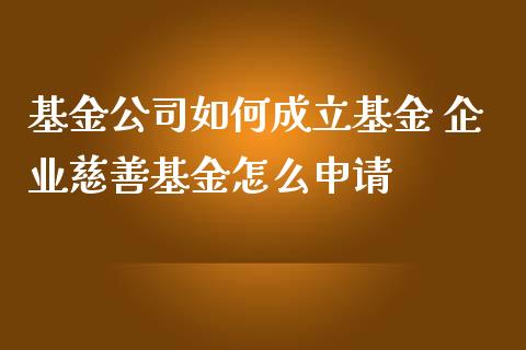 基金公司如何成立基金 企业慈善基金怎么申请