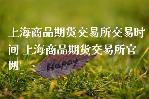 上海商品期货交易所交易时间 上海商品期货交易所