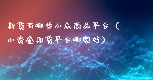 期货有哪些小众商品平台（小资金期货平台哪家好）