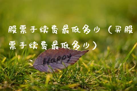 股票手续费最低多少（买股票手续费最低多少）