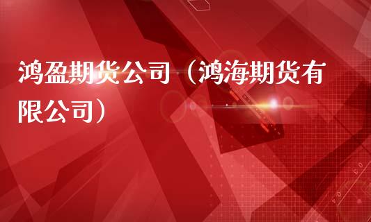 鸿盈期货公司（鸿海期货有限公司）
