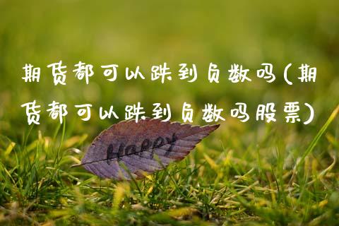 期货都可以跌到负数吗(期货都可以跌到负数吗股票)