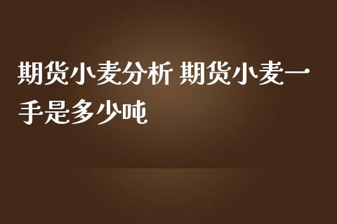 期货小麦分析 期货小麦一手是多少吨