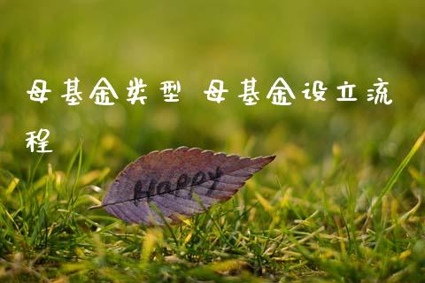 母基金类型 母基金设立流程