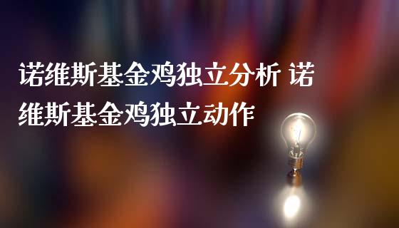 斯基金鸡分析 斯基金鸡动作