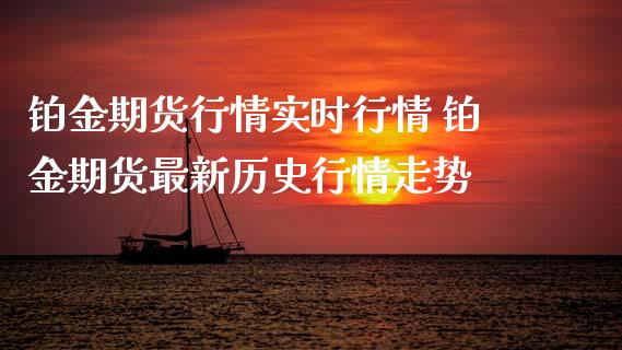铂金期货行情实时行情 铂金期货最新历史行情走势