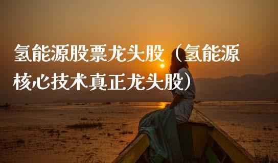 氢能源股票龙头股（氢能源核心技术真正龙头股）