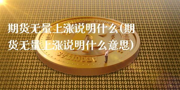 期货无量上涨说明什么(期货无量上涨说明什么意思)