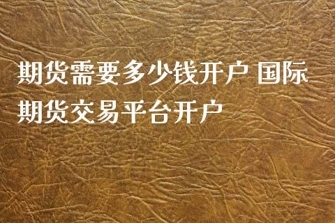 期货需要多少钱开户 国际期货交易平台开户_https://www.dglong8.com_理财百科_第1张