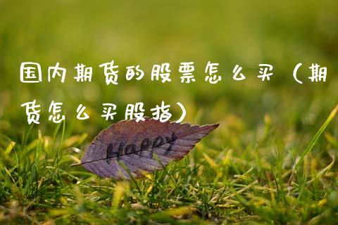 国内期货的股票怎么买（期货怎么买股指）