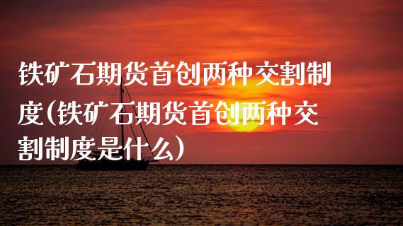 铁矿石期货首创两种交割制度(铁矿石期货首创两种交割制度是什么)