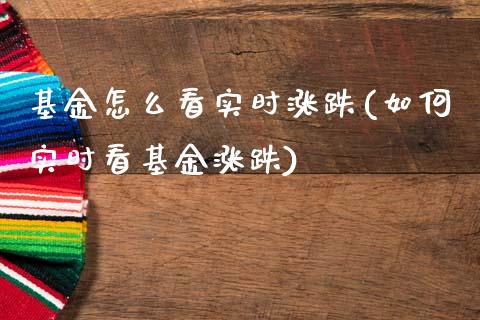 基金怎么看实时涨跌(如何实时看基金涨跌)